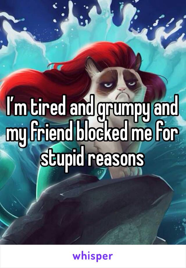 I’m tired and grumpy and my friend blocked me for stupid reasons 