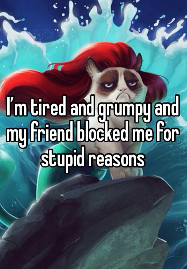 I’m tired and grumpy and my friend blocked me for stupid reasons 