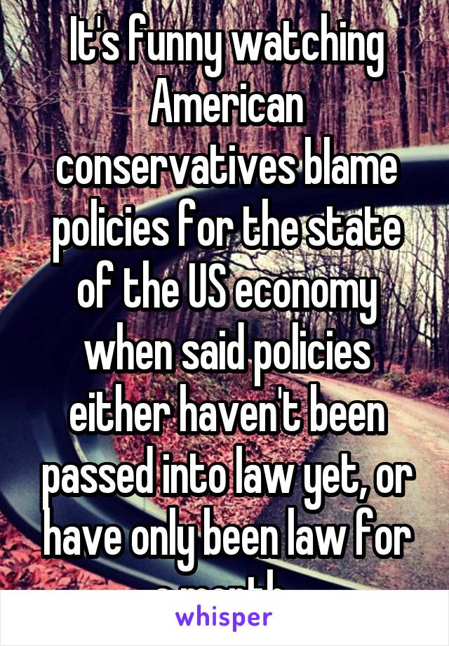 It's funny watching American conservatives blame policies for the state of the US economy when said policies either haven't been passed into law yet, or have only been law for a month. 