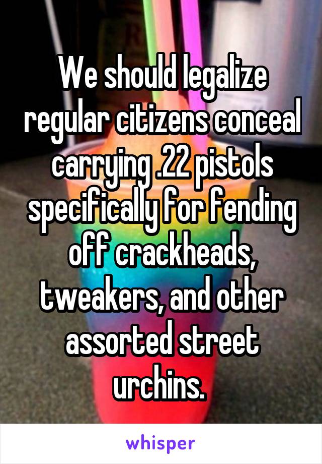 We should legalize regular citizens conceal carrying .22 pistols specifically for fending off crackheads, tweakers, and other assorted street urchins. 