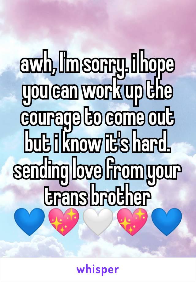 awh, I'm sorry. i hope you can work up the courage to come out but i know it's hard. sending love from your trans brother
💙💖🤍💖💙