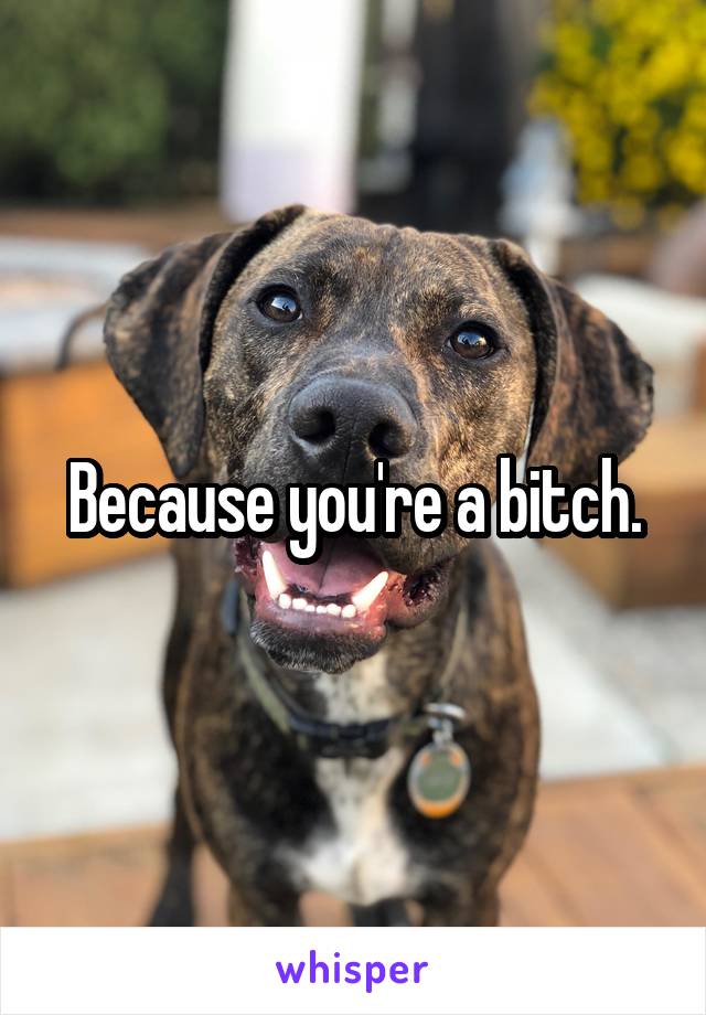 Because you're a bitch.