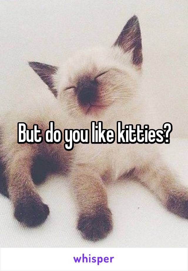 But do you like kitties?