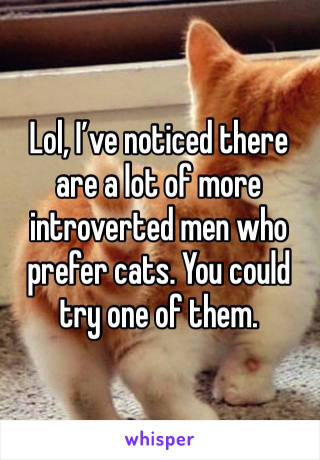 Lol, I’ve noticed there are a lot of more introverted men who prefer cats. You could try one of them.