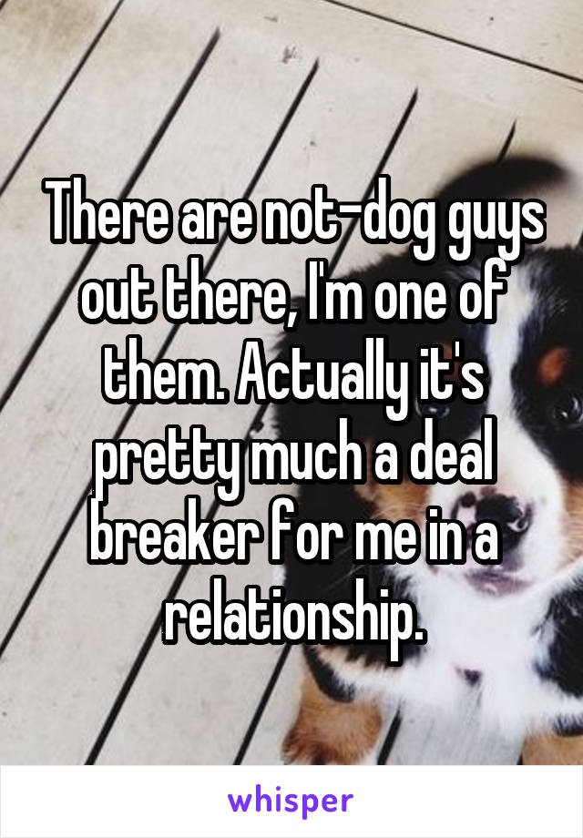 There are not-dog guys out there, I'm one of them. Actually it's pretty much a deal breaker for me in a relationship.