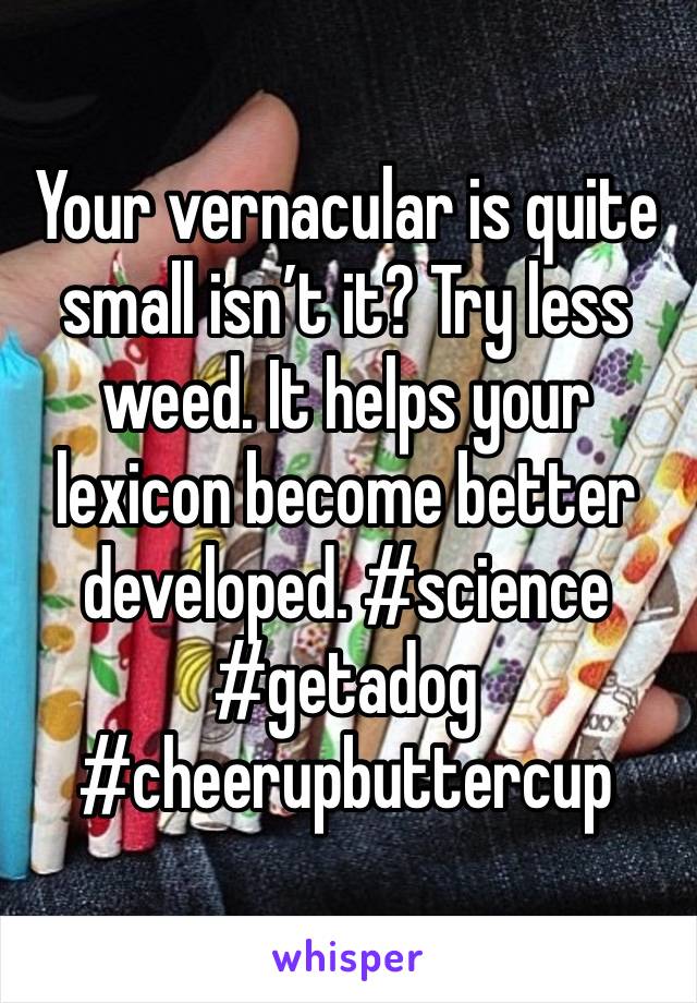 Your vernacular is quite small isn’t it? Try less weed. It helps your lexicon become better developed. #science #getadog #cheerupbuttercup