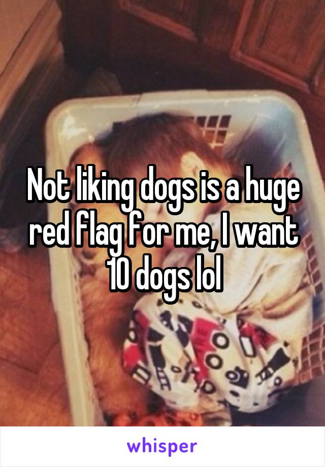 Not liking dogs is a huge red flag for me, I want 10 dogs lol