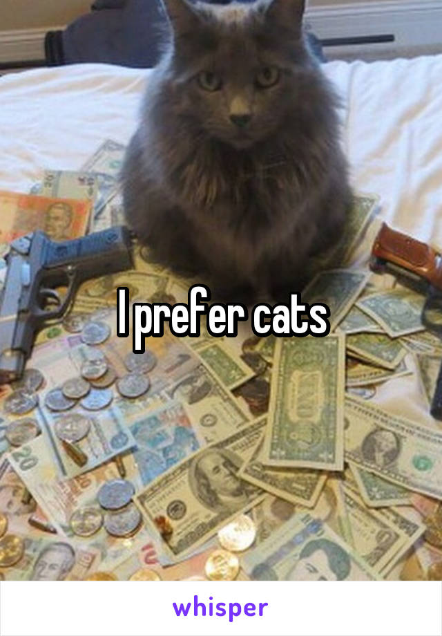 I prefer cats