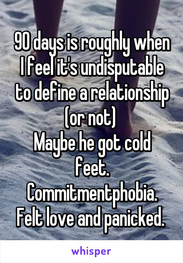 90 days is roughly when I feel it's undisputable to define a relationship (or not) 
Maybe he got cold feet. Commitmentphobia. Felt love and panicked. 