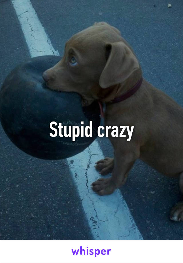 Stupid crazy