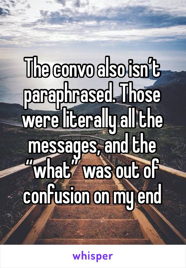 The convo also isn’t paraphrased. Those were literally all the messages, and the “what” was out of confusion on my end 