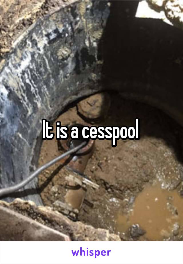 It is a cesspool 