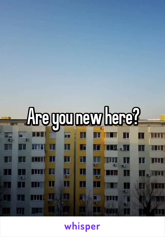 Are you new here?