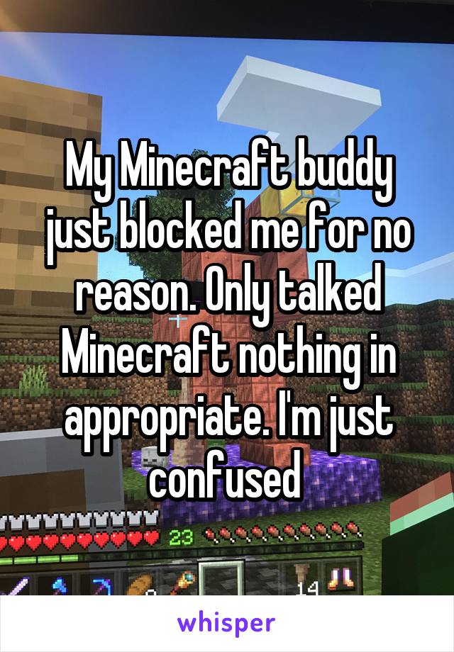 My Minecraft buddy just blocked me for no reason. Only talked Minecraft nothing in appropriate. I'm just confused 