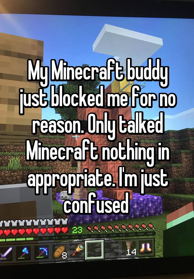 My Minecraft buddy just blocked me for no reason. Only talked Minecraft nothing in appropriate. I'm just confused 