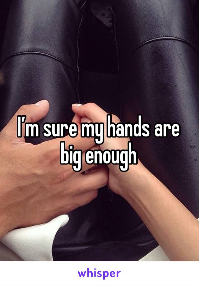 I’m sure my hands are big enough 