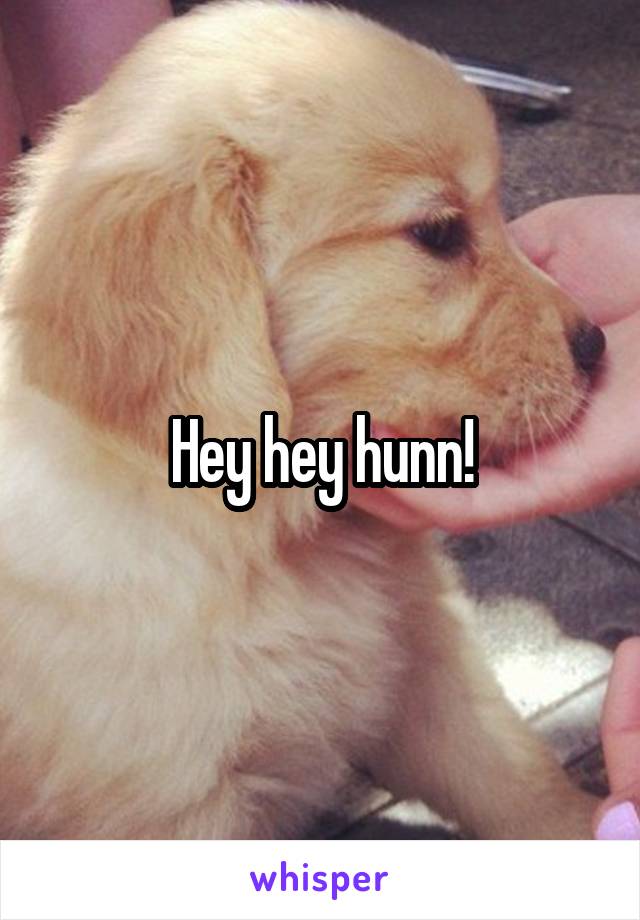 Hey hey hunn!