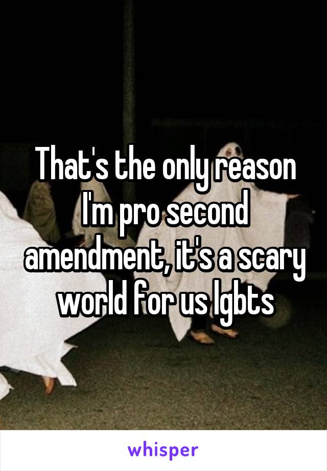 That's the only reason I'm pro second amendment, it's a scary world for us lgbts