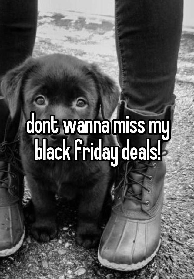 dont wanna miss my black friday deals!