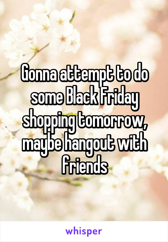 Gonna attempt to do some Black Friday shopping tomorrow, maybe hangout with friends