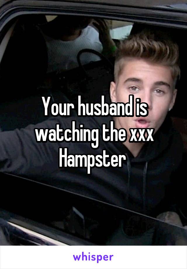 Your husband is watching the xxx Hampster 