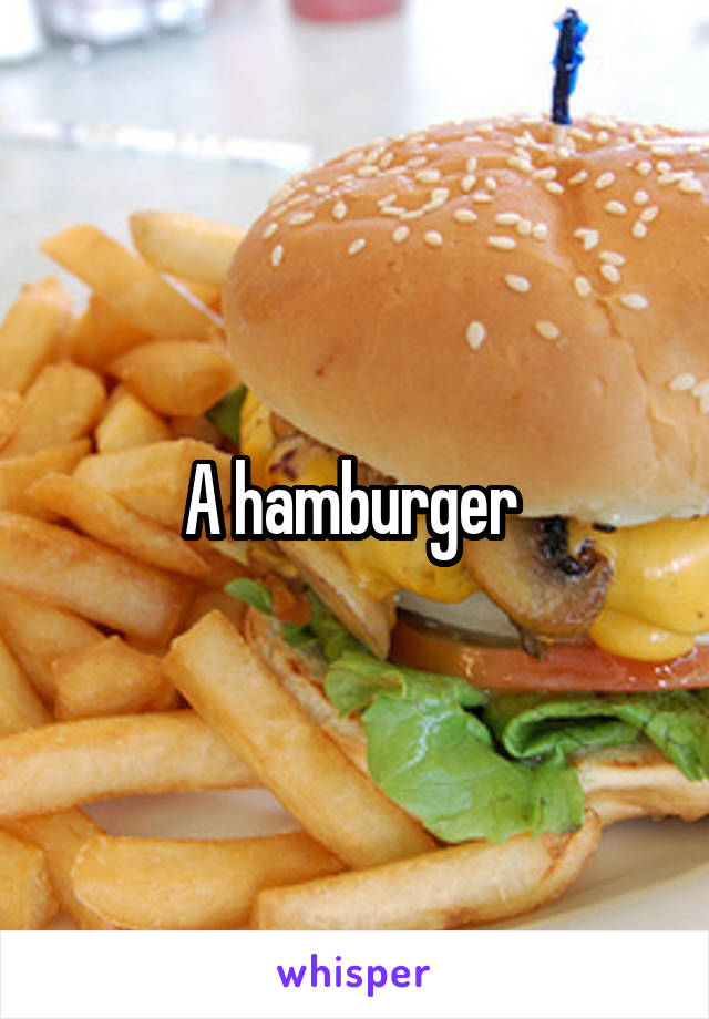 A hamburger 