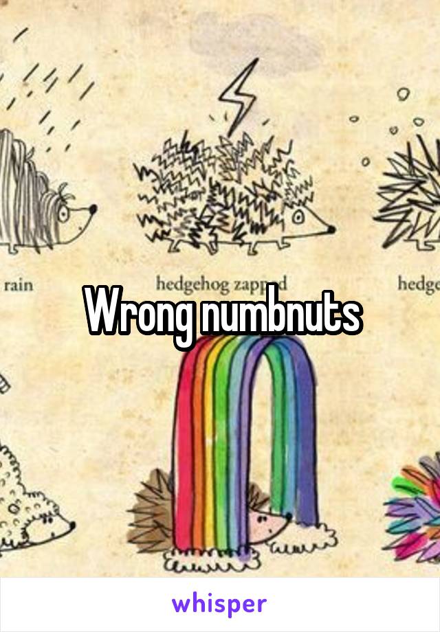 Wrong numbnuts