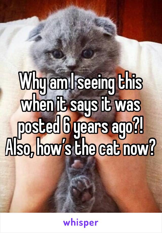 Why am I seeing this when it says it was posted 6 years ago?! 
Also, how’s the cat now?