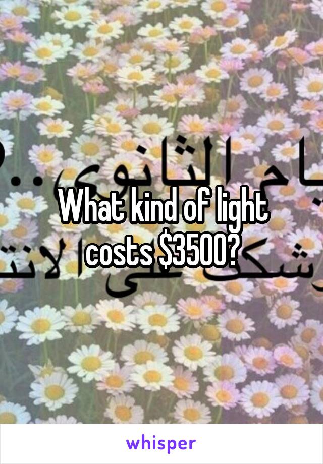 What kind of light costs $3500?