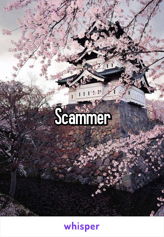 Scammer