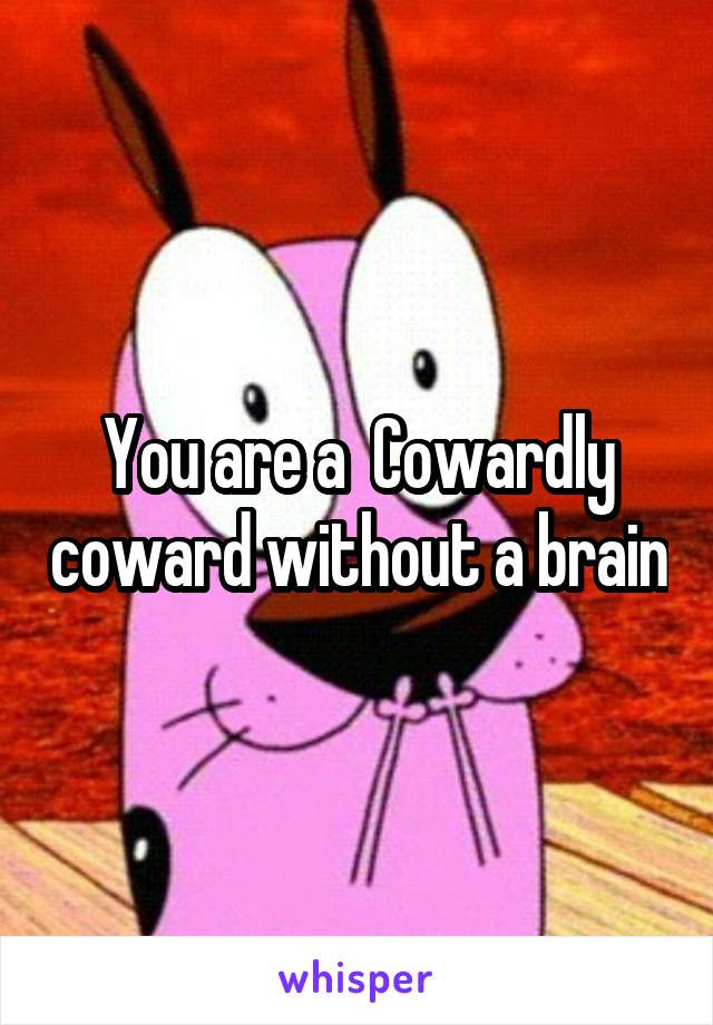 You are a  Cowardly coward without a brain