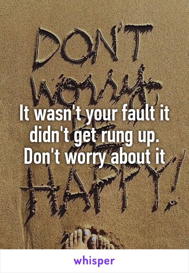 It wasn't your fault it didn't get rung up. Don't worry about it