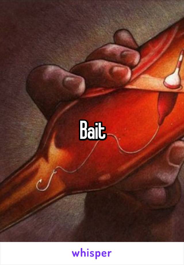 Bait