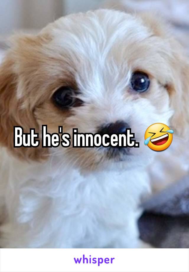 But he's innocent. 🤣