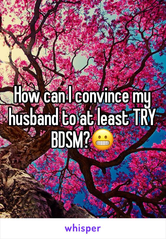 How can I convince my husband to at least TRY BDSM?😬