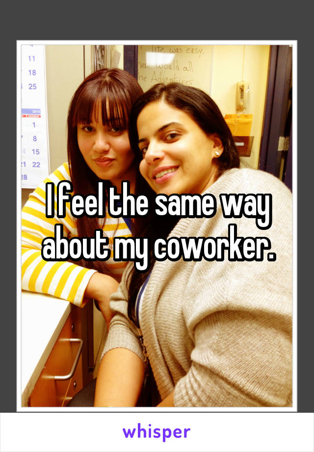 I feel the same way about my coworker.