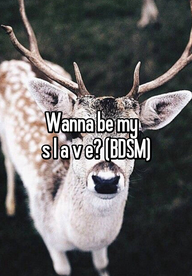 Wanna be my   
s l a v e? (BDSM)