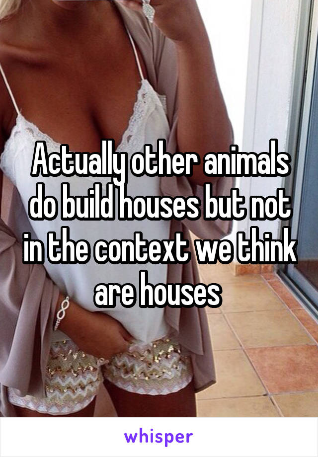 Actually other animals do build houses but not in the context we think are houses 