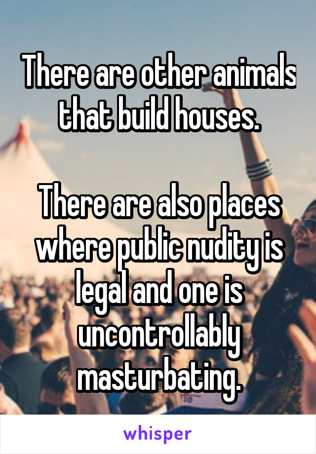 There are other animals that build houses.

There are also places where public nudity is legal and one is uncontrollably masturbating.