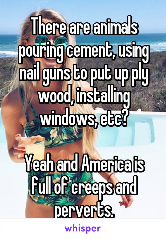 There are animals pouring cement, using nail guns to put up ply wood, installing windows, etc?

Yeah and America is full of creeps and perverts.