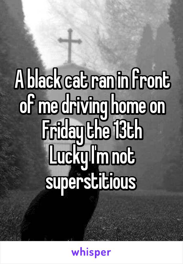 A black cat ran in front of me driving home on Friday the 13th
Lucky I'm not superstitious 