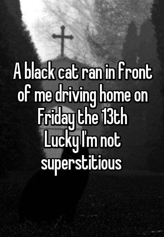 A black cat ran in front of me driving home on Friday the 13th
Lucky I'm not superstitious 