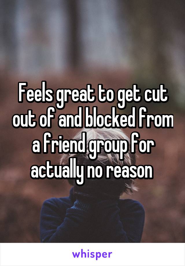 Feels great to get cut out of and blocked from a friend group for actually no reason 