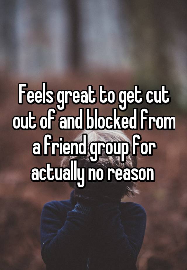 Feels great to get cut out of and blocked from a friend group for actually no reason 