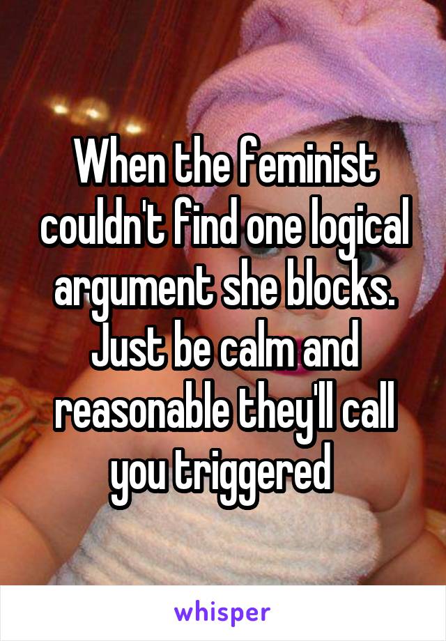 When the feminist couldn't find one logical argument she blocks. Just be calm and reasonable they'll call you triggered 