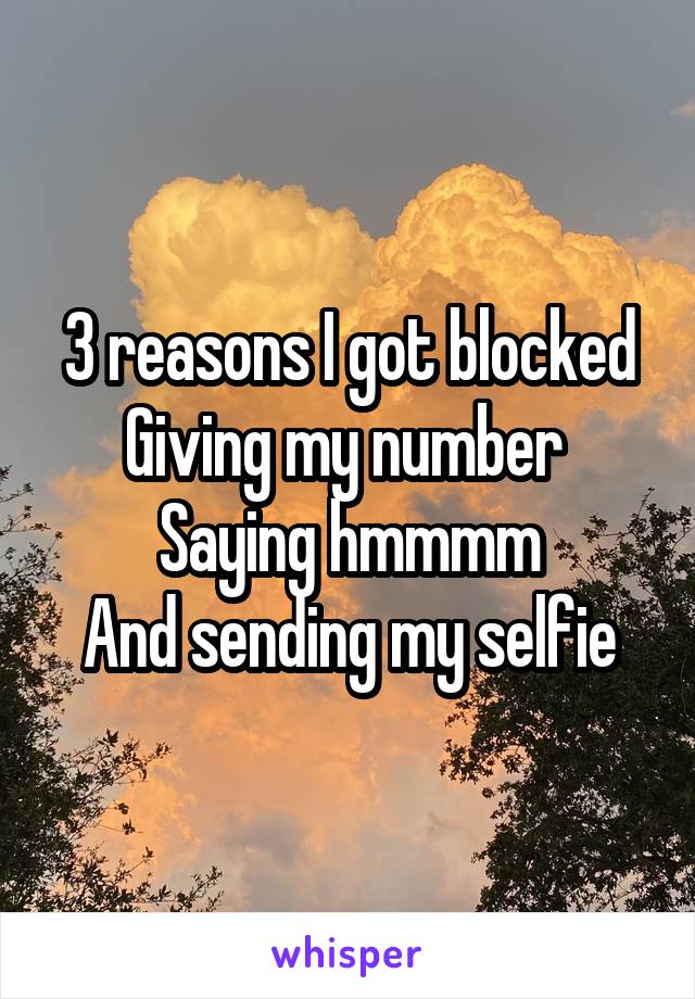 3 reasons I got blocked
Giving my number 
Saying hmmmm
And sending my selfie