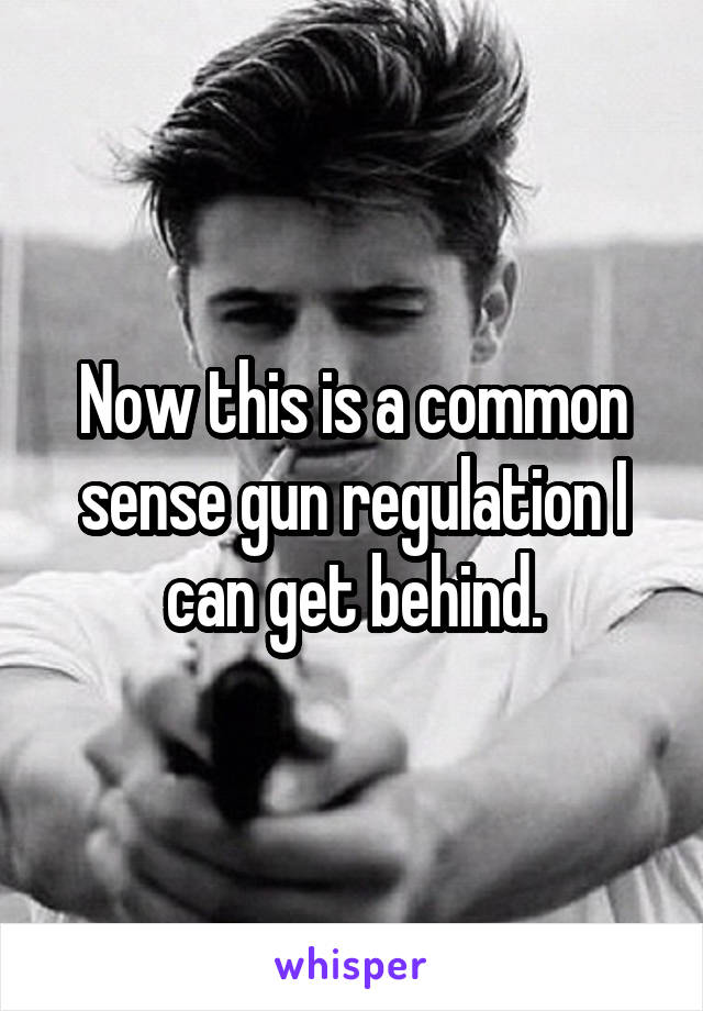 Now this is a common sense gun regulation I can get behind.