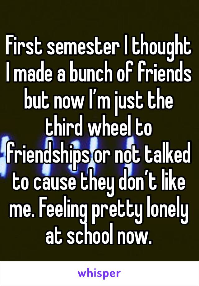 First semester I thought I made a bunch of friends but now I’m just the third wheel to friendships or not talked to cause they don’t like me. Feeling pretty lonely at school now. 