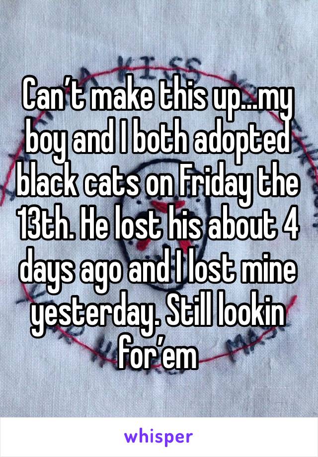 Can’t make this up…my boy and I both adopted black cats on Friday the 13th. He lost his about 4 days ago and I lost mine yesterday. Still lookin for’em