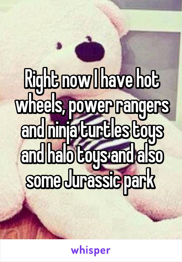 Right now I have hot wheels, power rangers and ninja turtles toys and halo toys and also some Jurassic park 